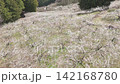 盛開的梅花田鳥瞰圖 142168780