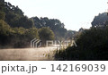 Beautiful sunrise scene showing misty fog evaporating and moving over the calm surface of a river. Surrounded by lush green trees and reeds on the bank, illuminated by warm morning sunlight at summer 142169039