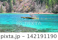 Turquoise Lake in Jiuzhaigou Valley China with Mossy Log and Forest 142191190
