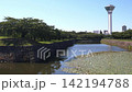 Goryokaku Fort in Hakodate in the morning 142194788
