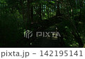 陽光透過樹林的山路 142195141