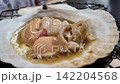 April 30 2026 Fresh scallops grilled in shells with soy sauce. 142204568