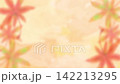 水彩の紅葉と秋の和紙背景ループアニメ 142213295
