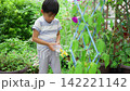 夏休みの宿題に朝顔の水遣りをする小学一年生の男の子 142221142