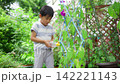夏休みの宿題に朝顔の水遣りをする小学一年生の男の子 142221143