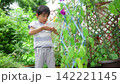 夏休みの宿題に朝顔の水遣りをする小学一年生の男の子 142221145