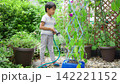 夏休みの宿題に朝顔の水遣りをする小学一年生の男の子 142221152