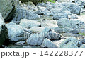 A clear stream flows between large rocks, creating a refreshing natural landscape of forest. 142228377