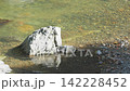 White rocks and pebbles stand by the riverbank of a crystal-clear stream. 142228452