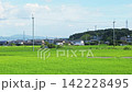 The scenery of Japanese rural villages and satoyama (traditional rural landscapes) with vast expanses of green rice fields in summer. 142228495