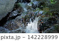 A small waterfall of a stream cascading vigorously between rocks, creating a refreshing natural landscape. 142228999