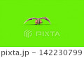 green screen archaeopteryx runs front dinoasaurs 3d rendering 142230799