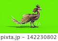 green screen archaeopteryx roar loop side dinoasaurs 3d rendering  142230802