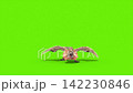 green screen archaeopteryx attacks front dinoasaurs 3d rendering 142230846