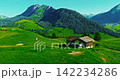 Establishing shot of Switzerland. Aerial view of the green meadows of Switzerland, with the Alps and clouds in the background 142234286