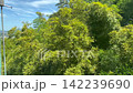 Summer scenery from the Otokoyama Cable Car at Iwashimizu Hachimangu Shrine 142239690