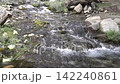 Serene stream flowing through rocky landscape with lush greenery and discarded trash 142240861
