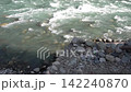 Rapid river flow with whitewater rapids and rocky shoreline 142240870