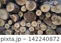 Stack of freshly cut wooden logs for firewood or construction 142240872