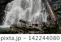 Scenic mountain waterfall flowing past fallen trees and logs. 142244080