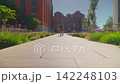 Skater Gliding Through a Vibrant Urban Pathway Surrounded by Lush Greenery and Colorful Flowers in Bright Sunshine 142248103