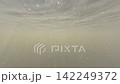多摩川の水中 142249372