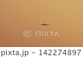 Commercial airplane approaches the runway for landing during a peaceful and golden sunset 142274897