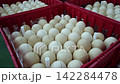 Quality Inspection of Fresh Chicken Eggs by Worker Wearing Protective Gloves 142284478