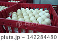 Quality Inspection of Fresh Chicken Eggs by Worker Wearing Protective Gloves 142284480