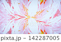 Soft symmetrical fluid lines forming an organic blooming lotus shape. Suitable for spa, wellness, meditation, beauty, and elegant artistic backgrounds. 142287005