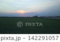 Aerial View of Green Agricultural Field Under Pink Sunset Sky Scenic Countryside Landscape 142291057