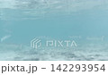 横型動画・大きめの魚群が泳ぐ岩礁の海中風景 142293954