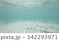 横型動画・複数の魚が泳ぐ岩と砂が混じる海底風景 142293971