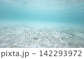 横型動画・遠くに小さく泳ぐ魚と岩礁の海底風景 142293972