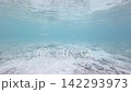横型動画・縞模様の魚と群れが泳ぐ砂地混じりの珊瑚礁 142293973