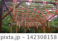 Numerous wind chimes line the grounds of Kamado Shrine, swaying in the breeze. 142308158