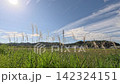 Autumn in the Japanese countryside, a landscape with pampas grass, 142324151