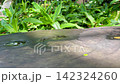 Empty wooden table with nature background, Product display concept 142324260