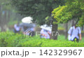 學生冒著瓢潑大雨撐傘放學回家；可以聽到雨聲。 142329967