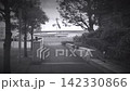 Footage of a landscape moving through a park along the coast. 142330866