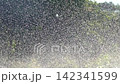 Water Spray and Fine Mist Sparkling in Sunlight Abstract background 142341599