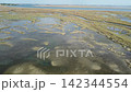Aerial View of Lio Piccolo Marshlands in the Venice Lagoon 142344554