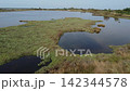 Aerial View of Lio Piccolo Marshlands in the Venice Lagoon 142344578