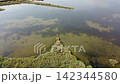 Aerial View of Lio Piccolo Marshlands in the Venice Lagoon 142344580