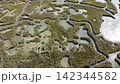 Aerial View of Lio Piccolo Marshlands in the Venice Lagoon 142344582