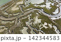 Aerial View of Lio Piccolo Marshlands in the Venice Lagoon 142344583