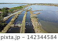 Aerial View of Lio Piccolo Marshlands in the Venice Lagoon 142344584