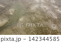 Aerial View of Lio Piccolo Marshlands in the Venice Lagoon 142344585