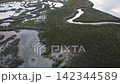 Aerial View of Lio Piccolo Marshlands in the Venice Lagoon 142344589