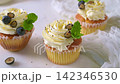 Delicious vanilla cupcakes with white frosting blueberries and mint on a textured surface 142346530
